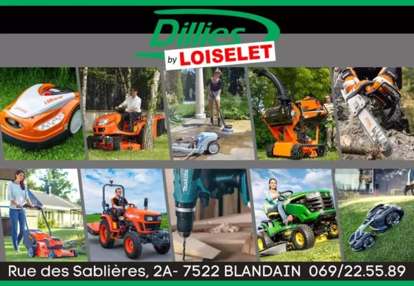 Dillies – Image 5