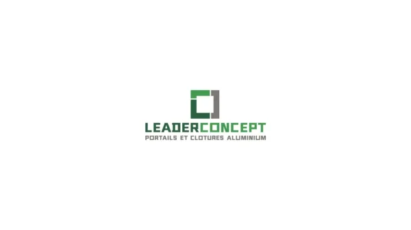 Leader concept